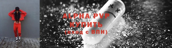 стаф Беломорск