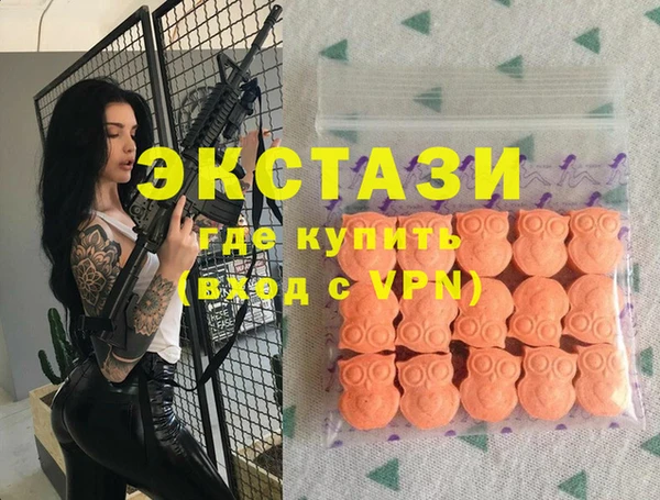 СК Богородицк